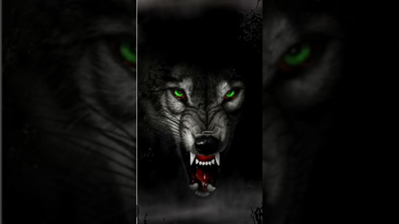 Try this sound, black wolf lovers #blackwolf