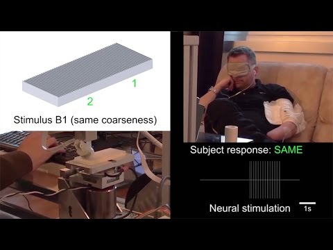 Bionic fingertip feels textures