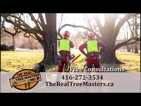 The Real Tree Masters Inc. video.