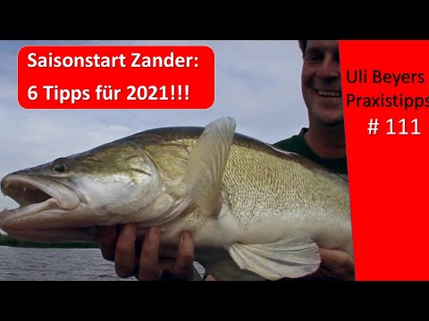 Zander season start: 6 tips for 2021