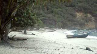 preview picture of video 'Playa de Cipara. Península de Paria. Edo Sucre. Venezuela'