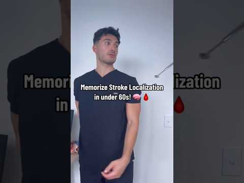 Memorize #stroke  localization in under 60s! 🧠🩸#shorts #medstudent #neuro #neurology #medschool