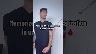 Memorize #stroke  localization in under 60s! 🧠🩸#shorts #medstudent #neuro #neurology #medschool