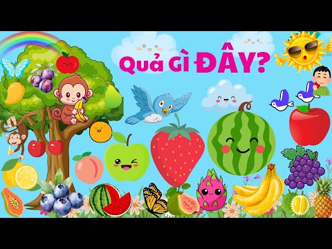 Quả Gì Đây? - Bé Học Nhận Biết Và Tập Nói Tên Các Loại Quả: Quả Táo, Quả Chuối, Quả Dâu Tây, ...