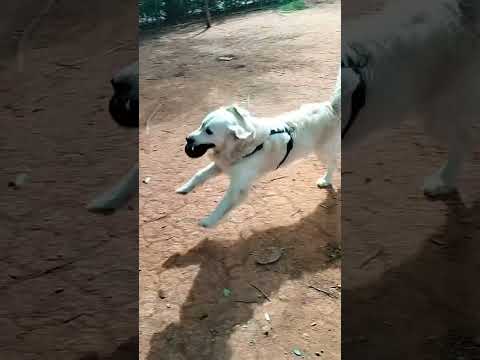 tecno lojiya🫦🫦