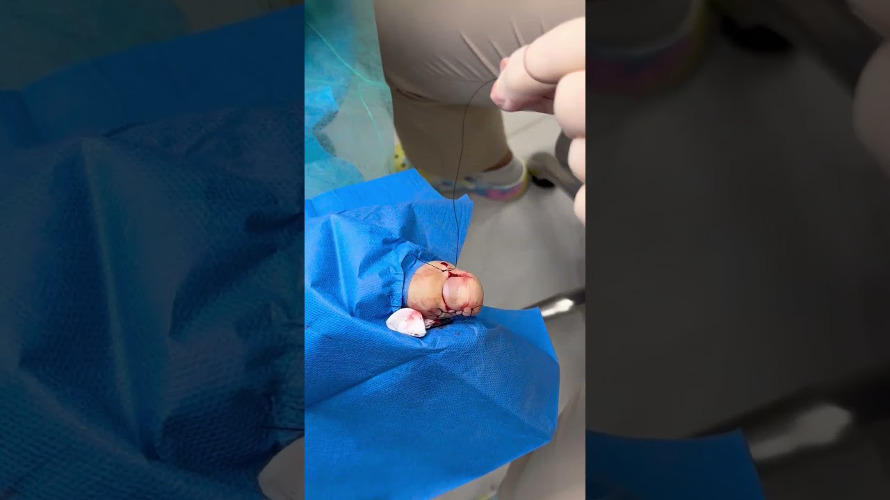 Urszula Staszek-Szewczyk-4