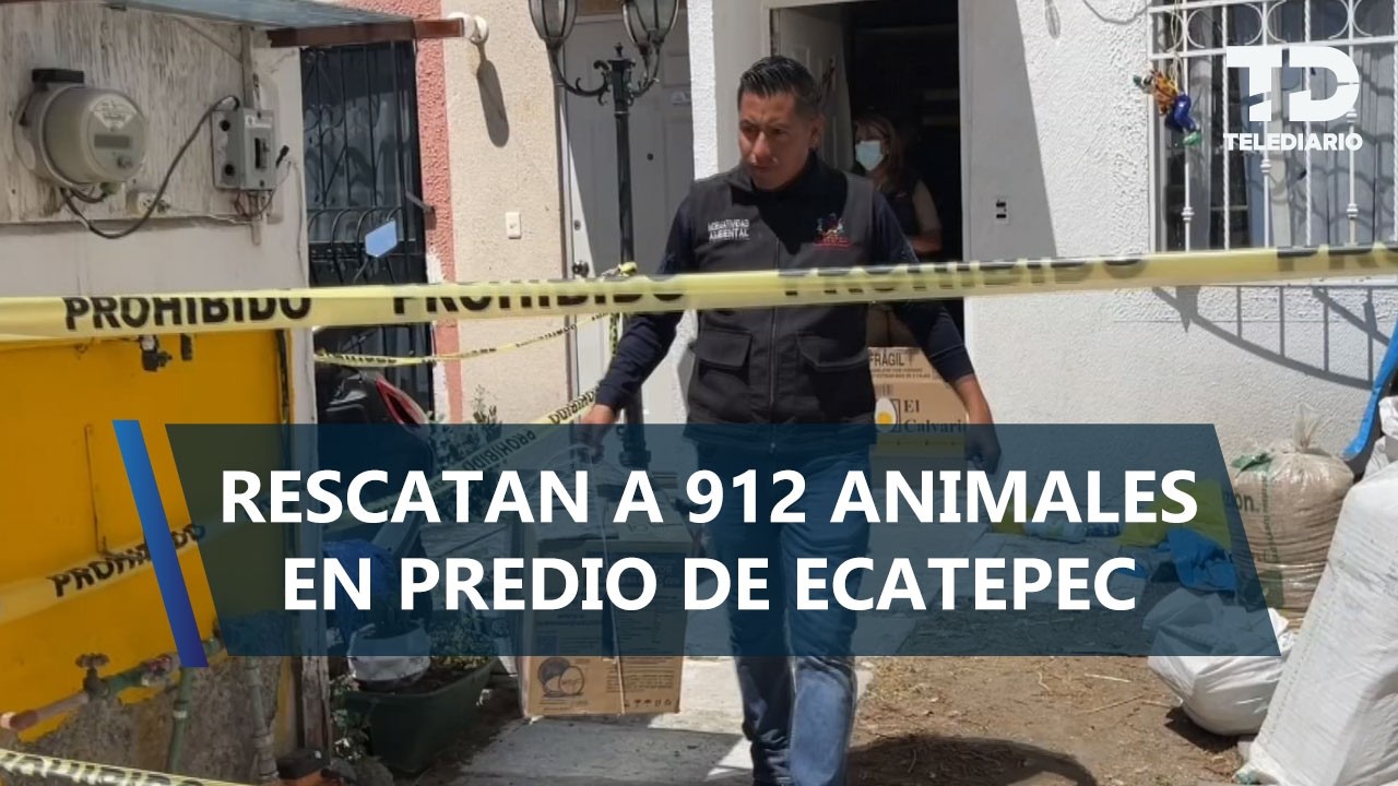 Rescatan a más de 900 animales hacinados en casa de Ecatepec; estaba invadida por Los 300