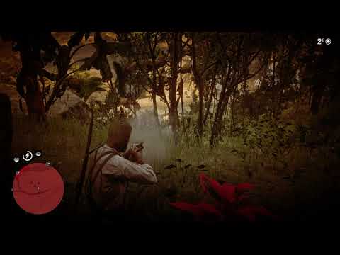 RDR 2: Deliberately trigger a trap to start a fight with Guarma lawmen