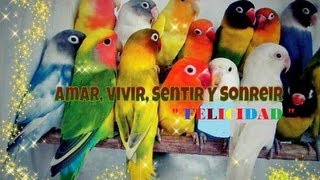 TU SERAS MI AMANECER