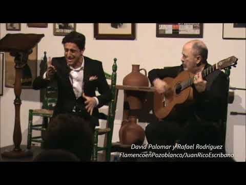 David Palomar y Rafael Rodríguez / Malagueñas