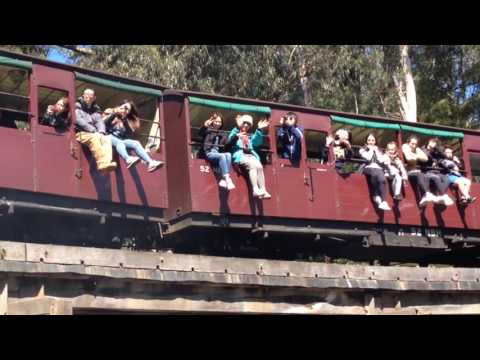 Puffing Billy Melbourne