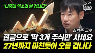현금으로 '딱 3개 주식만' 사세요, 27년까지 미친듯이 오를 겁니다 (김학주 교수)