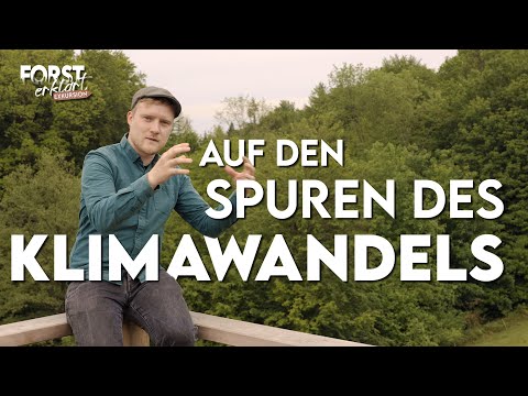 Auf den Spuren des Klimawandels - Forst erklärt EXKURSION #1