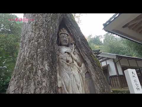 諦応寺