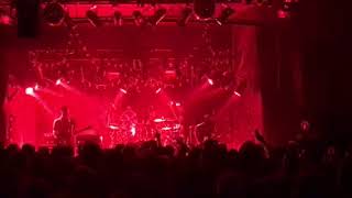 Cog The River Song LIVE @ the great northern Byron Bay