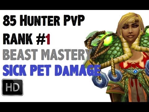 Aquilliah - Level 85 Beast Master Hunter Twink PvP - MoP Patch 5.3.0