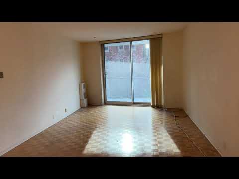 19 Winchester St. #201 Brookline