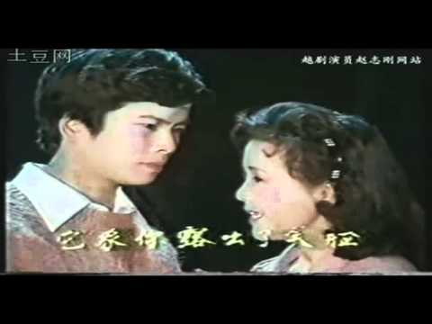 赵志刚茅善玉-1988年 越剧《盘妻》沪剧《血染姐妹花》