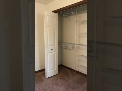 Stein3396 - Video 2 of 2