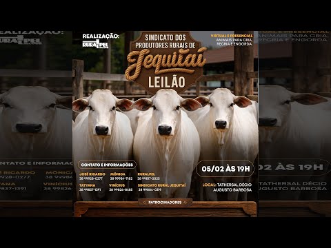 Leilão do Sindicato Rural de Jequitaí