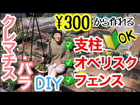 円柱状の岩梨「オベリスク」 植物