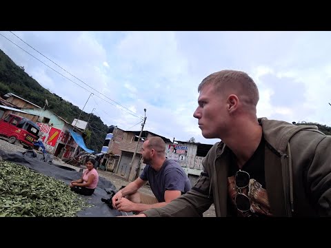 Avoiding Guerrillas On Peru's Deadliest Road 🇵🇪