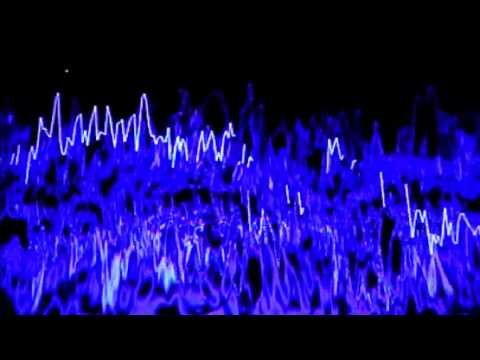 The Dude Is Black Noise