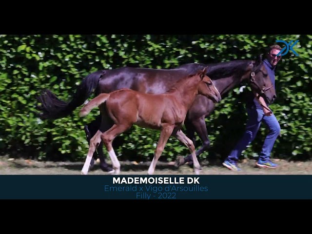 9 Mademoiselle DK