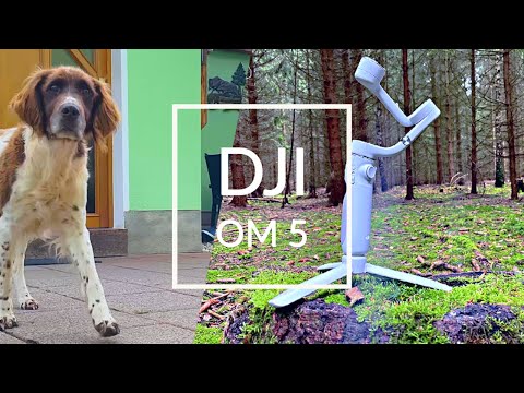 DJI OM 5 TEST : DA WACKELT NIX MEHR ! 🎥 / deutsch