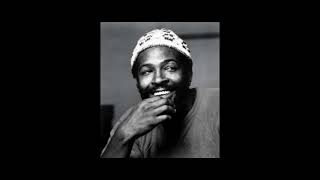 You're All I Need To Get By - Marvin Gaye