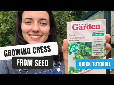 How To Grow Cress From Seed - Easy Video Guide!