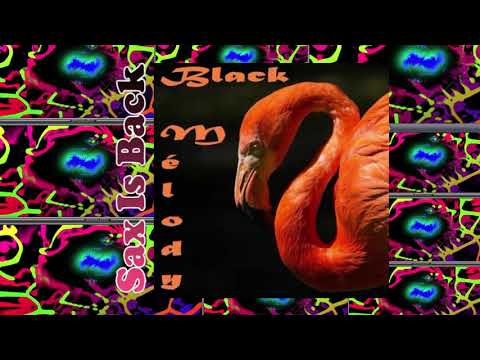 JariBu Afrobeat Arkestra - Yellow Joint + The Blue Bottles - We Can Do Better