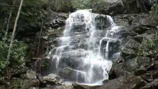 preview picture of video 'Waterfalls on Falls Run, Blackwater Falls State Park, Davis, WV'