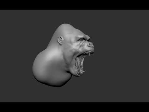 Turnaround of a realistic gorilla's head on ZBrush