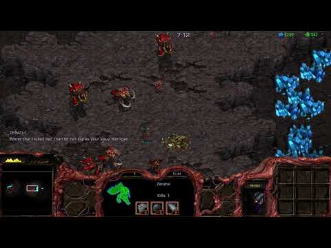 Damn you, Kerrigan, for what I must do