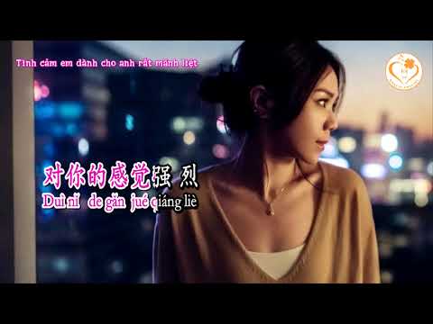 [Karaoke] Giày Cao Gót Màu Đỏ - Thái Kiện Nhã | 红色高跟鞋 - 蔡健雅