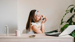 6-Figure Petfluencer | Petfluencer Secrets