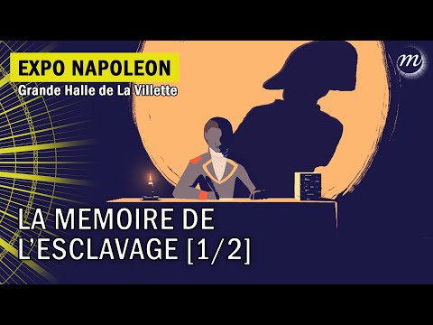 Napoléon et la mémoire de l'esclavage (1/2) 