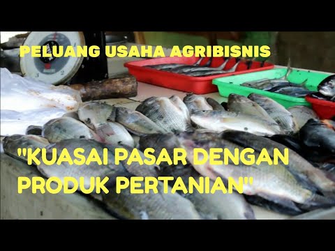 Forum penis Terbaik dari impotensi