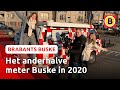 Dit waren de mooiste momenten van het afgelopen jaar | Brabants Buske