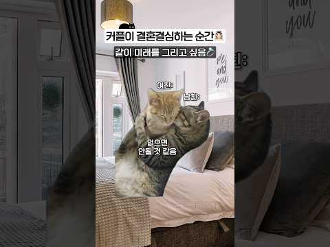 커플이 결혼결심을 하는 순간ㅋㅋ