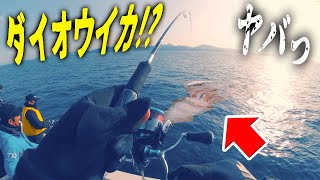【釣り】アオリイカを釣りに行ったら、まさかの！！？　【エギング】