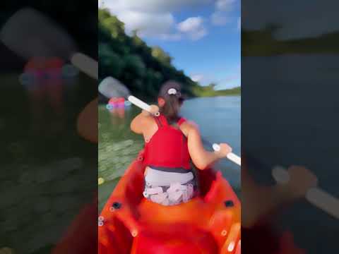 En Montecarlo, Kayak por el Río Paraná hasta la Isla Caraguatay!  #montecarlomisiones #kayak