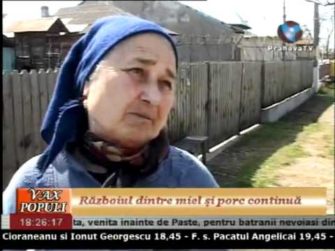 Ca la rom&acirc;ni, nicăieri! Care e diferența dintre Paște și Crăciun? &bdquo;Pe directe, sunt anumite zile, omul se spală, măn&acirc;ncă!&rdquo;