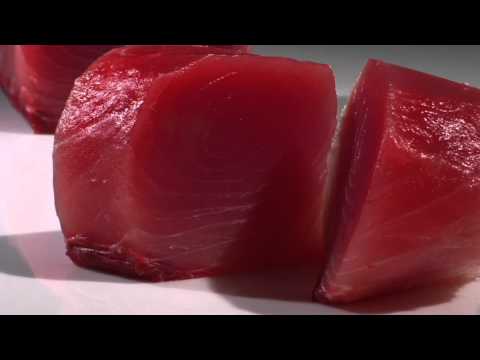 download lagu mp3 mp4 Opah Fish Price, download lagu Opah Fish Price gratis, unduh video klip Opah Fish Price