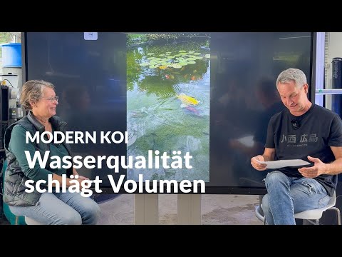 Raising Koi: A few key points | Modern Koi Blog #7852