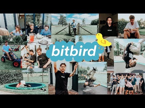 bitbird writing camp feat. San Holo, DROELOE, Taska Black
