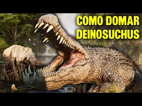COMO DOMAR O DEINOSUCHUS + LOCALIZAÇÃO E HABILIDADES Ark: Survival Ascended
