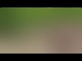 Donkey Fun Donkey Animals Nature Subscribe Entertainment Viral Video Support Success Yt