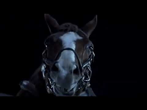 MENTIRAS VERDADERAS GARDEL Y LEPERA